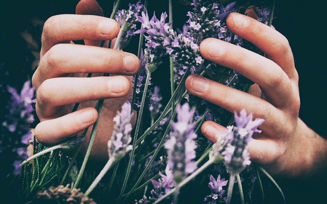 Aromatherapy for Adrenal Fatigue